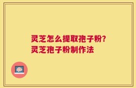 灵芝怎么提取孢子粉？灵芝孢子粉制作法