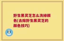 野生黑灵芝怎么洗掉颜色(去除野生黑灵芝的颜色技巧)