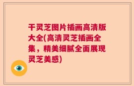 干灵芝图片插画高清版大全(高清灵芝插画全集，精美细腻全面展现灵芝美感)