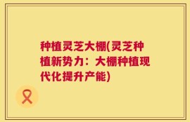 种植灵芝大棚(灵芝种植新势力：大棚种植现代化提升产能)