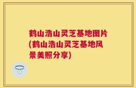 鹤山浩山灵芝基地图片(鹤山浩山灵芝基地风景美照分享)