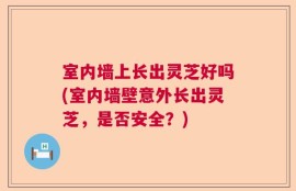 室内墙上长出灵芝好吗(室内墙壁意外长出灵芝，是否安全？)