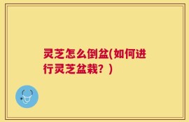 灵芝怎么倒盆(如何进行灵芝盆栽？)