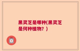 黑灵芝是哪种(黑灵芝是何种植物？)