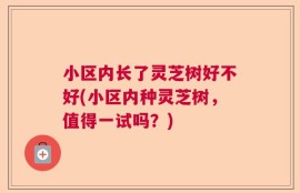 小区内长了灵芝树好不好(小区内种灵芝树，值得一试吗？)