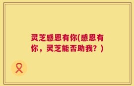 灵芝感恩有你(感恩有你，灵芝能否助我？)