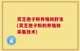 灵芝孢子粉养殖和野生(灵芝孢子粉的养殖和采集技术)