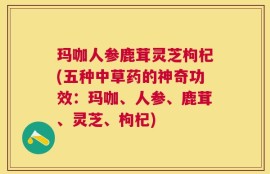 玛咖人参鹿茸灵芝枸杞(五种中草药的神奇功效：玛咖、人参、鹿茸、灵芝、枸杞)