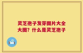 灵芝孢子发芽图片大全大图？什么是灵芝孢子