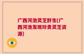 广西河池灵芝野生(广西河池发现珍贵灵芝资源)