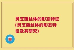 灵芝菌丝体的形态特征(灵芝菌丝体的形态特征及其研究)