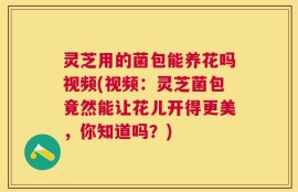灵芝用的菌包能养花吗视频(视频：灵芝菌包竟然能让花儿开得更美，你知道吗？)