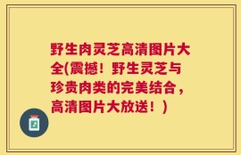 野生肉灵芝高清图片大全(震撼！野生灵芝与珍贵肉类的完美结合，高清图片大放送！)