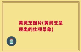 黄灵芝图片(黄灵芝呈现出的壮观景象)