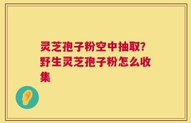 灵芝孢子粉空中抽取？野生灵芝孢子粉怎么收集