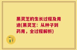 黑灵芝的生长过程及用途(黑灵芝：从种子到药用，全过程解析)