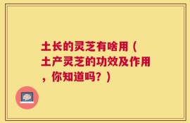 土长的灵芝有啥用 (土产灵芝的功效及作用，你知道吗？)