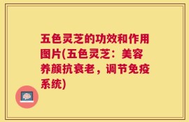 五色灵芝的功效和作用图片(五色灵芝：美容养颜抗衰老，调节免疫系统)