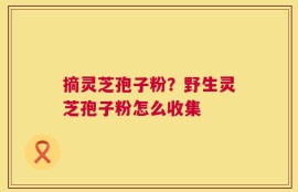 摘灵芝孢子粉？野生灵芝孢子粉怎么收集