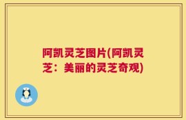 阿凯灵芝图片(阿凯灵芝：美丽的灵芝奇观)