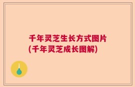 千年灵芝生长方式图片(千年灵芝成长图解)