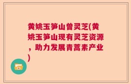 黄姚玉笋山曾灵芝(黄姚玉笋山现有灵芝资源，助力发展青蒿素产业)
