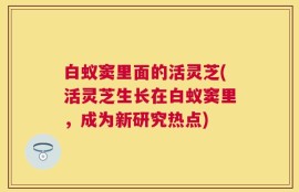 白蚁窦里面的活灵芝(活灵芝生长在白蚁窦里，成为新研究热点)