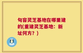 句容灵芝基地在哪里建的(重建灵芝基地：新址何方？)