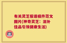 有关灵芝报道稿件范文图片(神奇灵芝：滋补佳品引领健康生活)