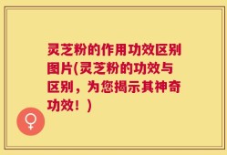 灵芝粉的作用功效区别图片(灵芝粉的功效与区别，为您揭示其神奇功效！)