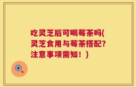 吃灵芝后可喝莓茶吗(灵芝食用与莓茶搭配？注意事项需知！)