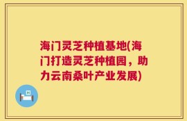 海门灵芝种植基地(海门打造灵芝种植园，助力云南桑叶产业发展)
