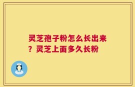 灵芝孢子粉怎么长出来？灵芝上面多久长粉