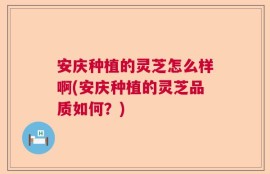 安庆种植的灵芝怎么样啊(安庆种植的灵芝品质如何？)