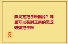 鲜灵芝孢子粉图片？哪里可以买到正宗的灵芝破壁孢子粉