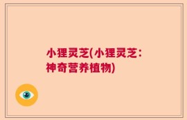 小狸灵芝(小狸灵芝：神奇营养植物)