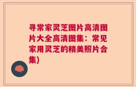 寻常家灵芝图片高清图片大全高清图集：常见家用灵芝的精美照片合集)