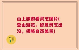 山上旅游看灵芝图片(登山游览，留意灵芝出没，领略自然美景)