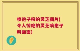 喷孢子粉的灵芝图片(令人惊艳的灵芝喷孢子粉画面)