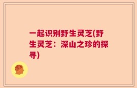 一起识别野生灵芝(野生灵芝：深山之珍的探寻)