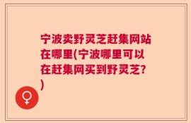 宁波卖野灵芝赶集网站在哪里(宁波哪里可以在赶集网买到野灵芝？)