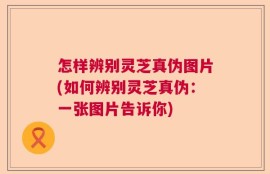 怎样辨别灵芝真伪图片(如何辨别灵芝真伪：一张图片告诉你)