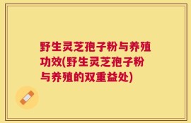 野生灵芝孢子粉与养殖功效(野生灵芝孢子粉与养殖的双重益处)
