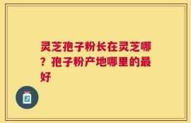灵芝孢子粉长在灵芝哪？孢子粉产地哪里的最好
