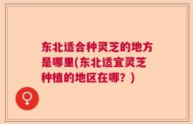 东北适合种灵芝的地方是哪里(东北适宜灵芝种植的地区在哪？)