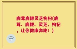 鹿茸鹿鞭灵芝枸杞(鹿茸、鹿鞭、灵芝、枸杞，让你健康奔跑！)