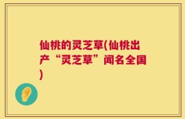 仙桃的灵芝草(仙桃出产“灵芝草”闻名全国)