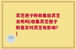 灵芝孢子粉收集后灵芝会死吗(收集灵芝孢子粉是否对灵芝有影响？)