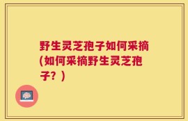 野生灵芝孢子如何采摘(如何采摘野生灵芝孢子？)