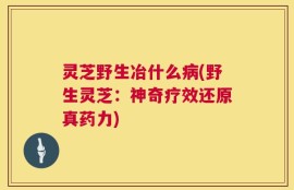 灵芝野生冶什么病(野生灵芝：神奇疗效还原真药力)